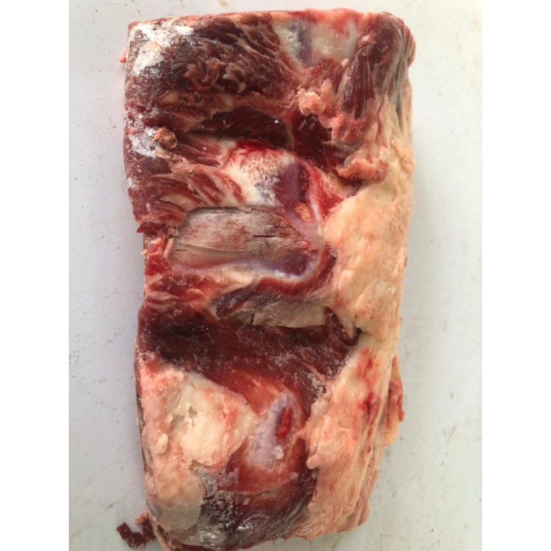 

Brisket Bone