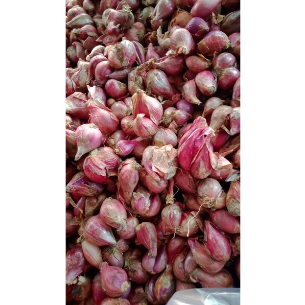 

Bawang Merah Brambang Besar 500gr Bamer