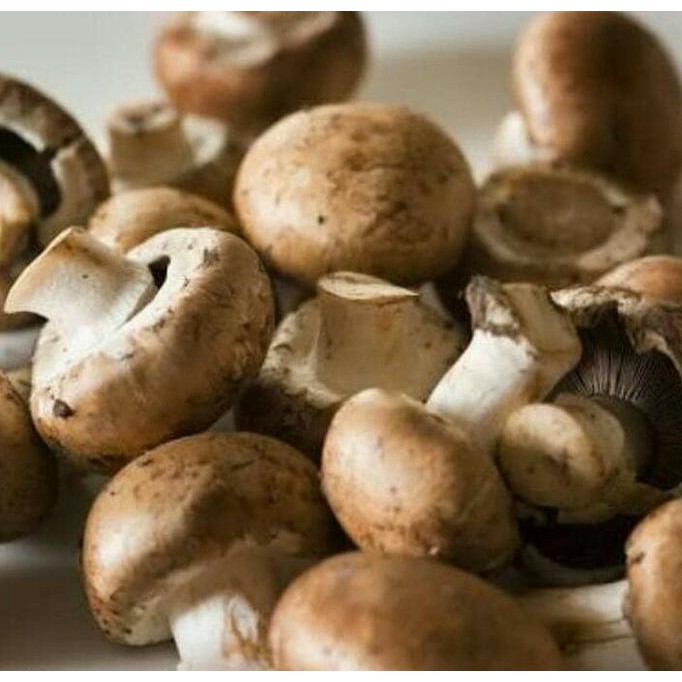 

Promo !! Jamur Shitake Fresh (Khusus Luar Jabodetabek) Terbaru