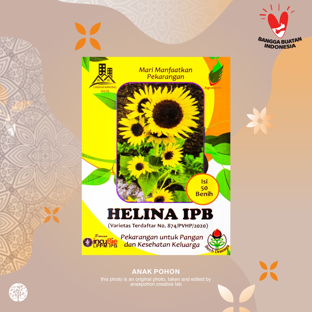 (1 PACK) Benih Bunga Matahari Helina IPB Sunflower Seeds - IPB Retail Pack - 50 Biji