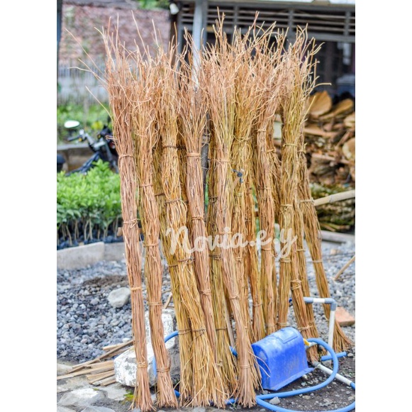 100btg/1 ikat akar Manon / akar mentau / akar rustik / ring akar / akar kering