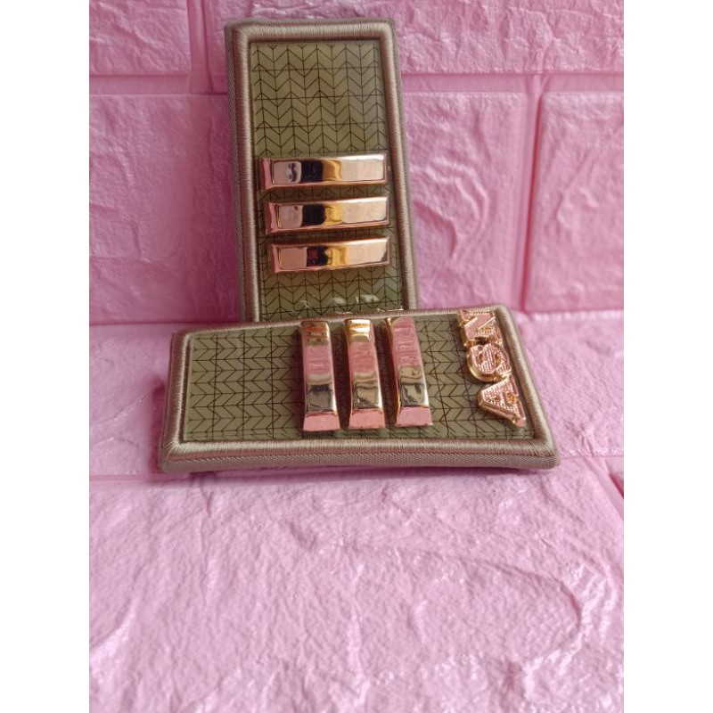 pangkat pdh PNS Sumsel gol 3C