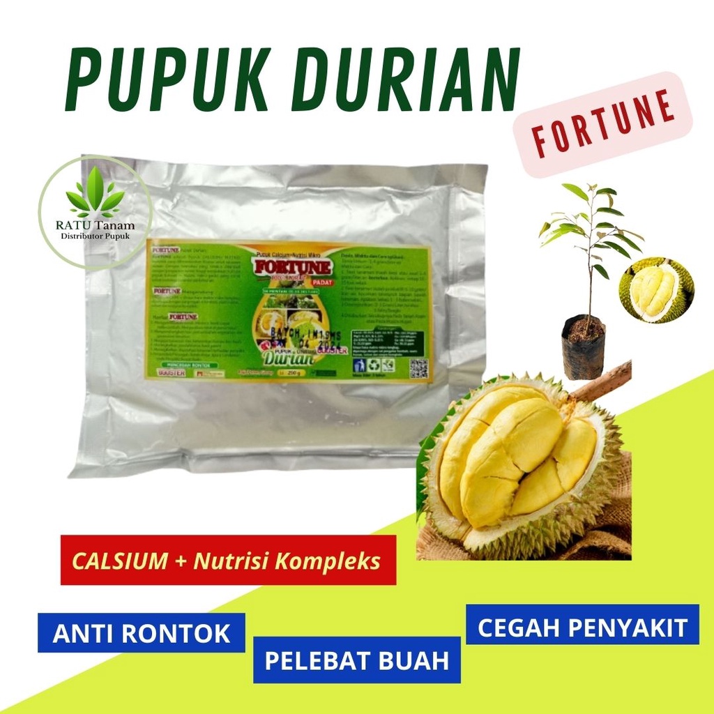 Pupuk Pelebat Buah Durian, Booster Durian Montong Agar Berbuah Lebat
