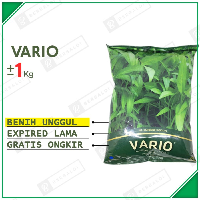 Vario Benih Kangkung Cabut Unggul Bibit Kangkung Potong Hibrida
