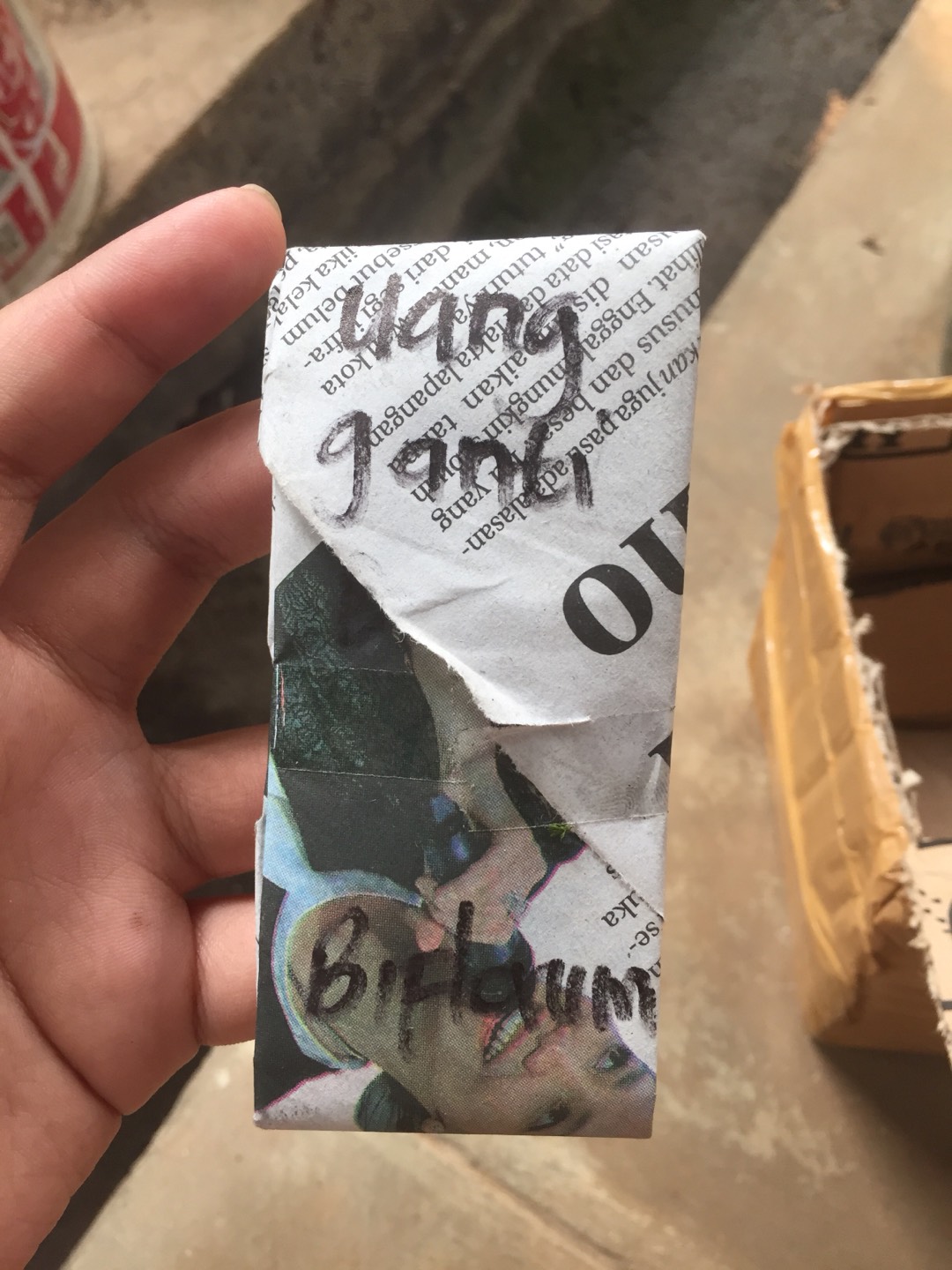 [diskon] Buy 1 Get 1 Free Bulbophylum Biflorum Dewasa