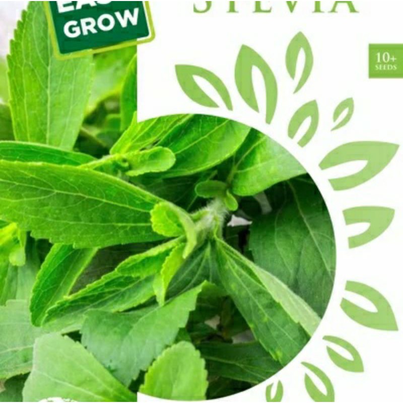 1 Pack Mini Pouch Benih STEVIA HERBS