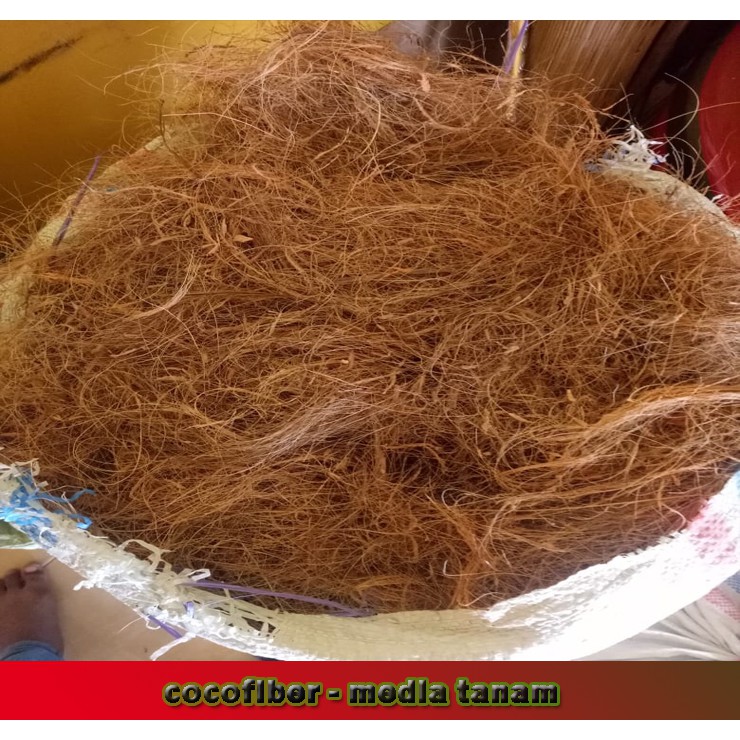 CocoFiber -Sabut kelapa - media tanam - Kemasan 1kg