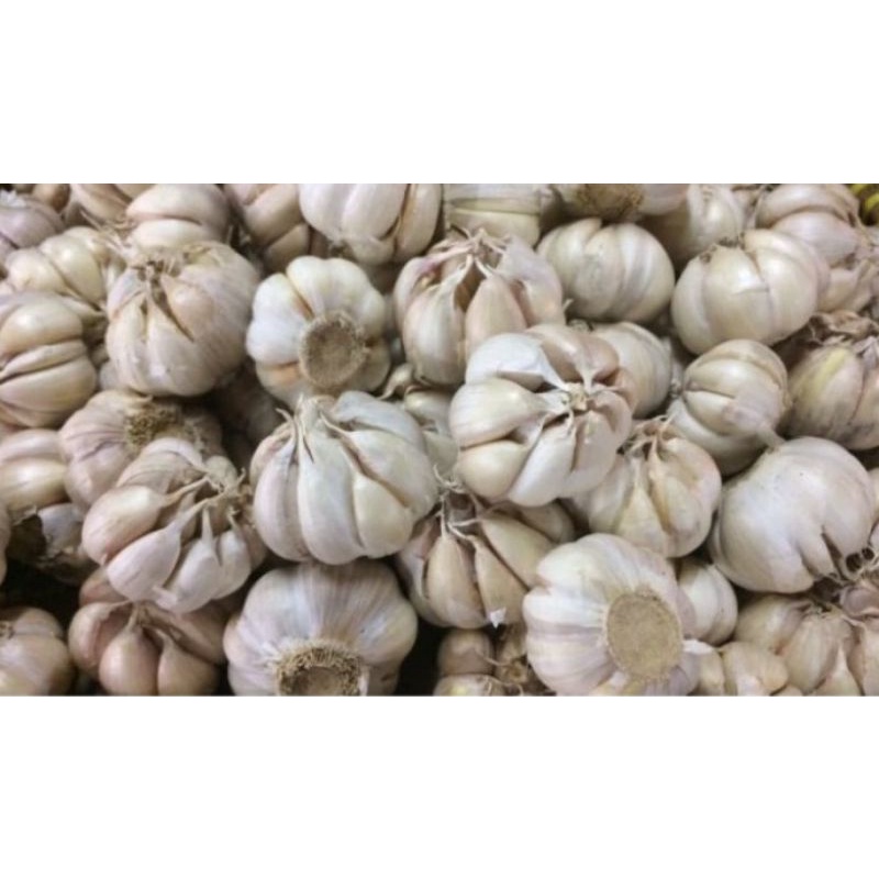 

Bawang putih Sinco 1kg