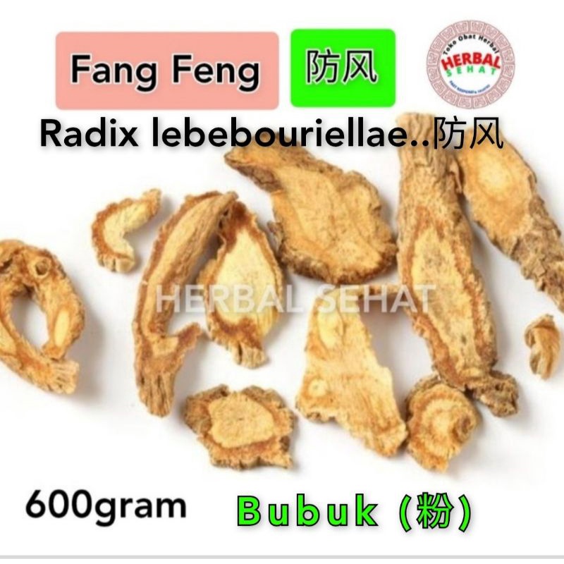 

Fang Feng Fen BUBUK Radix lebebouriellae