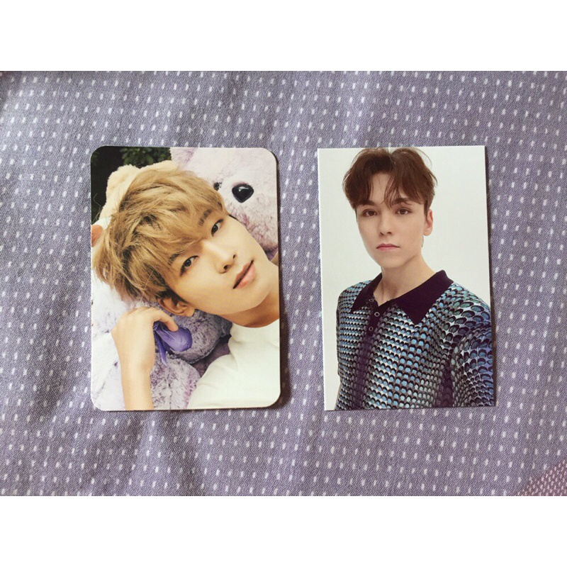Pc Wonwoo Dicon Teddy Bear Seventeen BOOKED