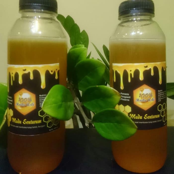

Madu Sentarum Murni 600ml - MMD2027