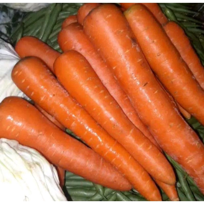 

wortel Brastagi 500gr 10000