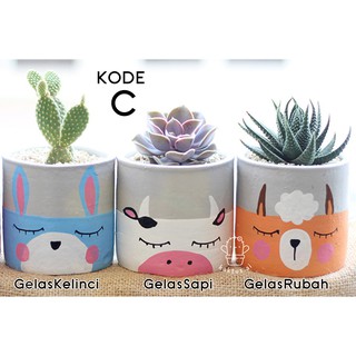 READY 1 pot lukis BISA PILIH utk kaktus sukulen lucu bunga READY 1 pot lukis BISA PILIH utk kaktus sukulen lucu bunga