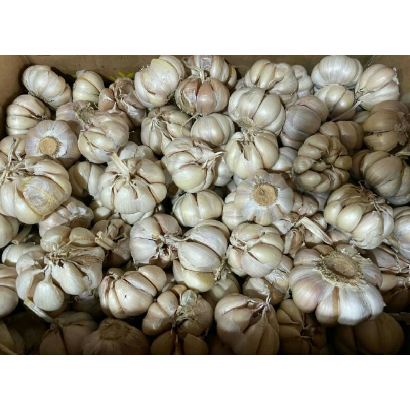 

Bawang Putih Biasa 250g