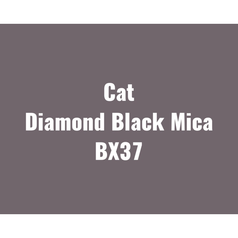 Cat Diamond Black Mica B.X37