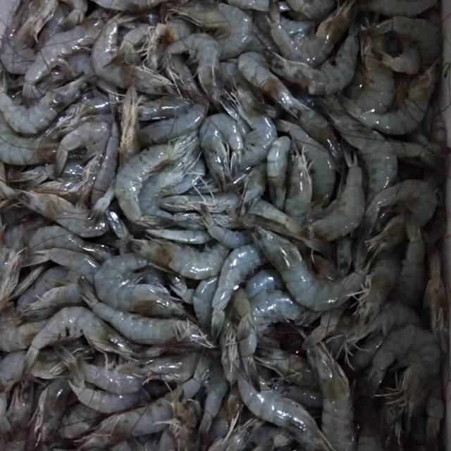 

Udang vanamae 250GR