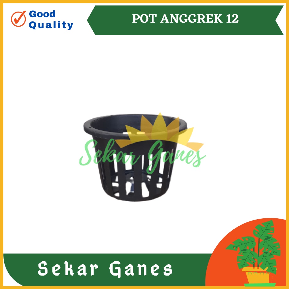 Pot Plastik Anggrek 12cm Pot Bunga Anggrek Orchid 12 Cm Grosir Murah