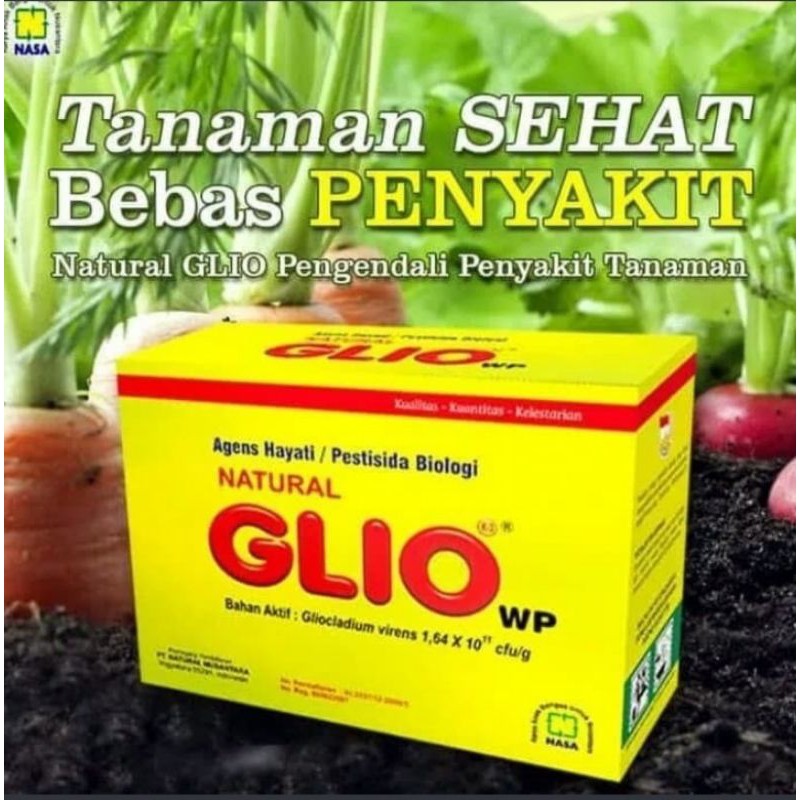 GLIO / NATURAL GLIO NASA