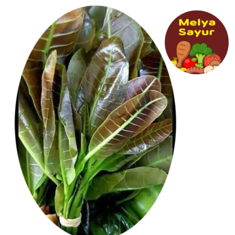 

Sayuran segar - Daun Mede, Daun jambu monyet 1 ikat - Melyasayur