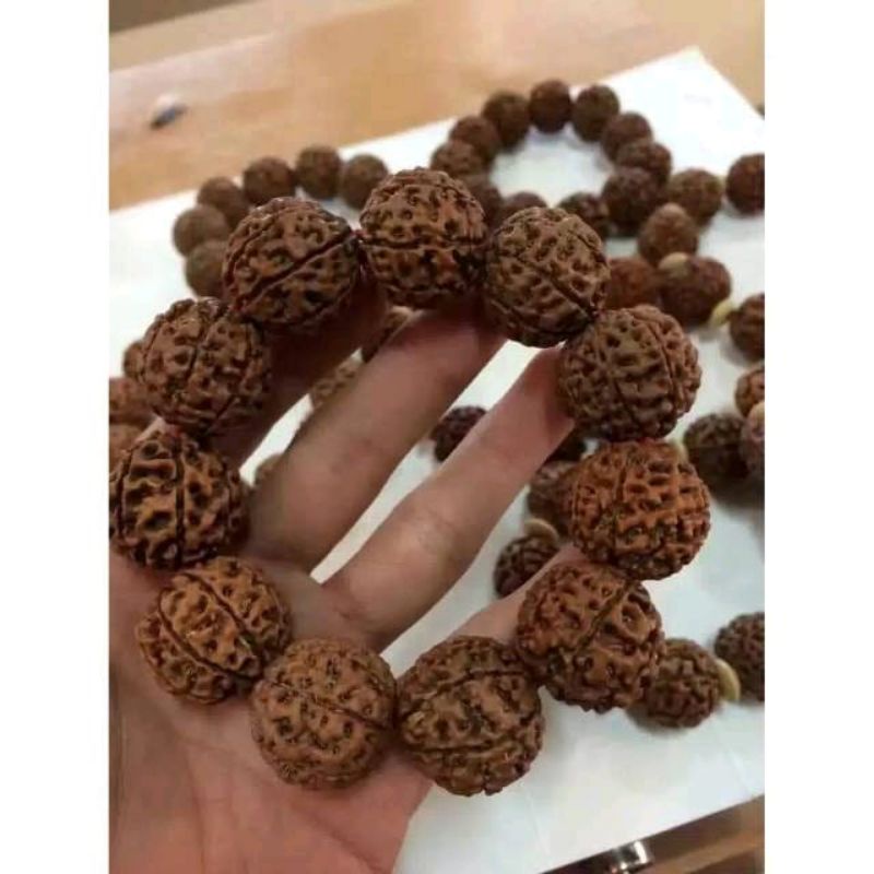 gelang genitri besar mukhi 5