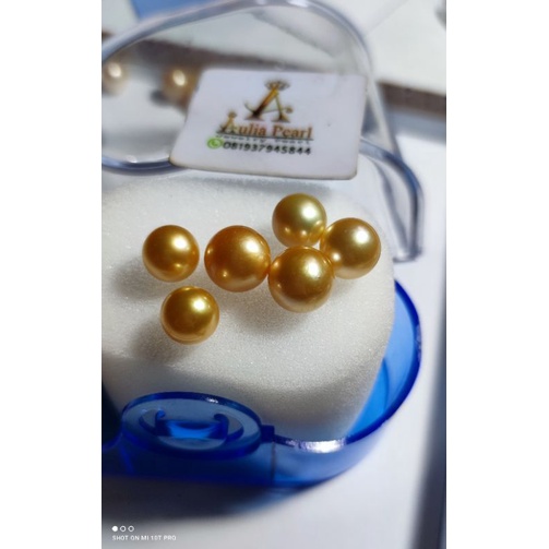 mutiara laut gold
