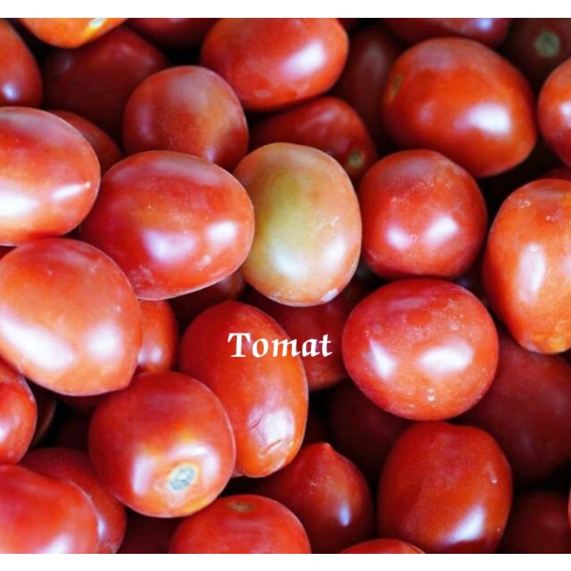 

Tomat segar