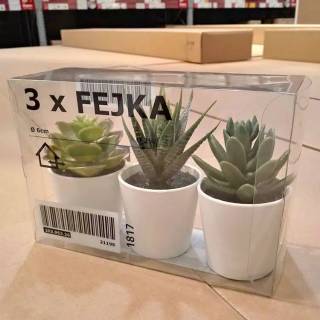  Ikea  fejka kaktus artifisial kaktus palsu  tanaman  