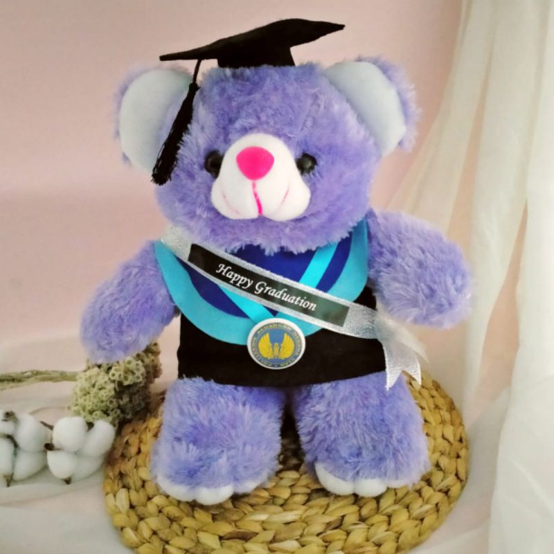 BONEKA WISUDA TEDDY BEAR 30CM + SELEMPANG