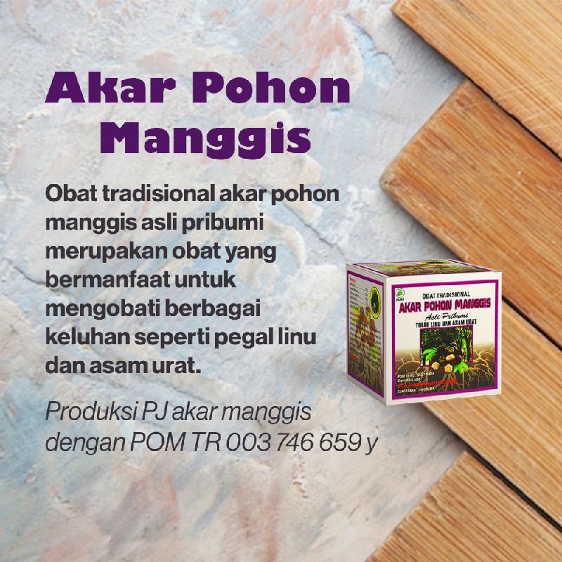 Akar pohon manggis | obat asam urat paling ampuh | obat tradisional Akar pohon manggis | Akar pohon 