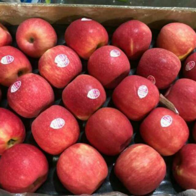 

Buah Apel Fuji Import