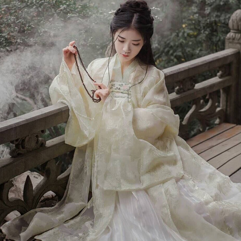 Hanfu female student ancient costume domineering long-sleeved style over fairy dress Chinese style d