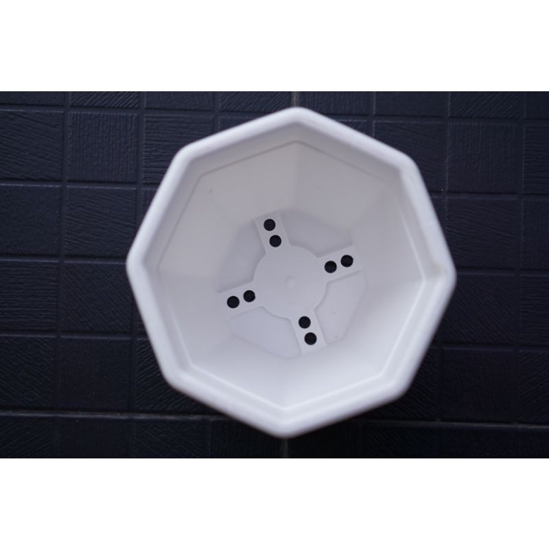[NEW] Pot Bunga Putih 35 | Pot Putih Tanaman Octagon | Jardin Victoria | Pot Modern Cantik Minimalis