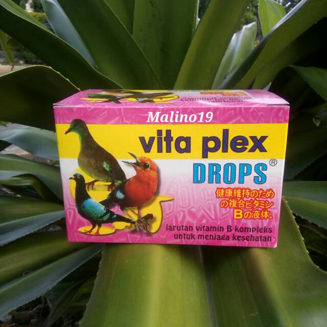 Vita Plex Drops  Vitamin B Complex Burung.