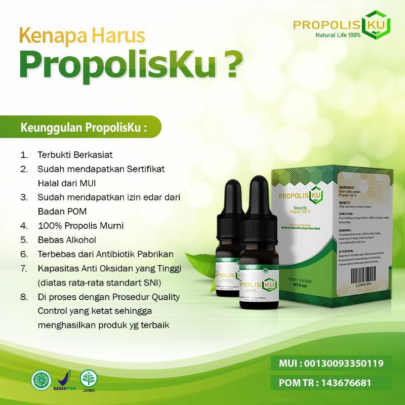 

propoliskuUmmufajriyah