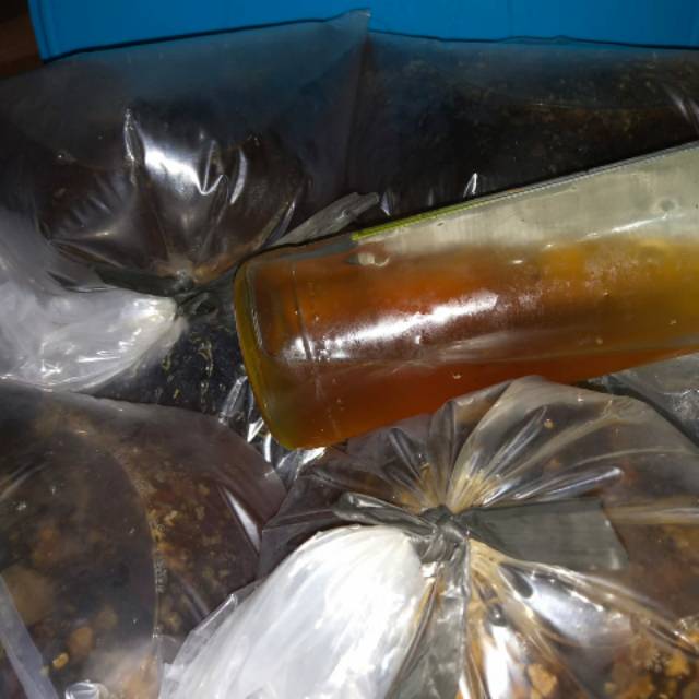 

Madu Asli hutan kerinci