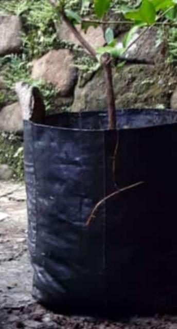 Planter Bag 6 Liter | 20x20