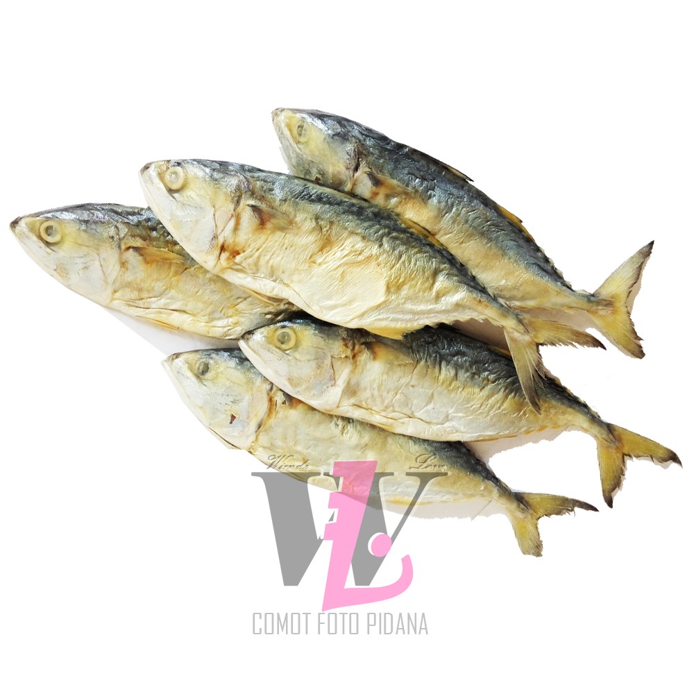 

Ikan Asin Peda Medan 1 kg Wiendalove