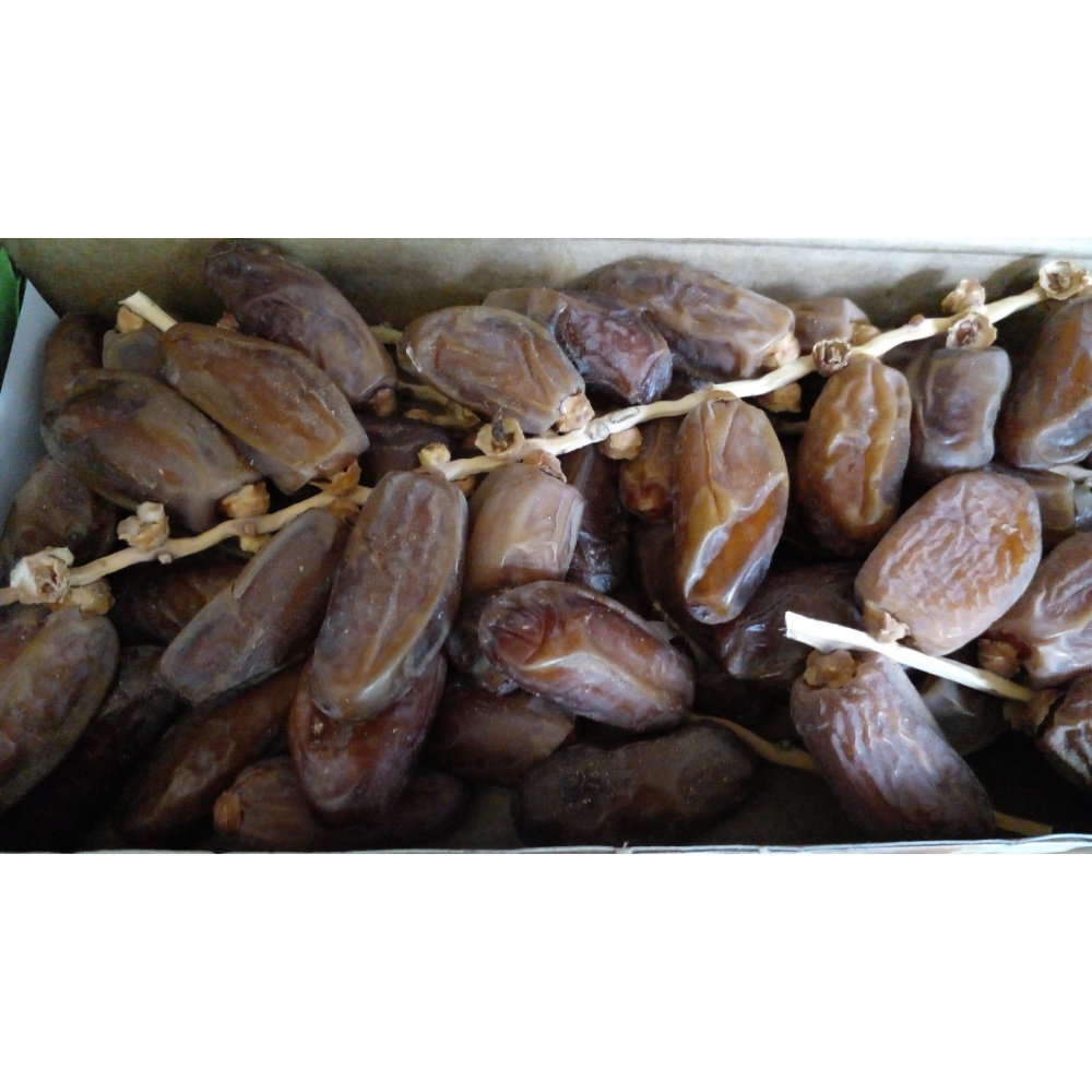 

Kurma Tunisia Tangkai Barari 500gr mirip kurma tunisia palm frutt or palm fruit