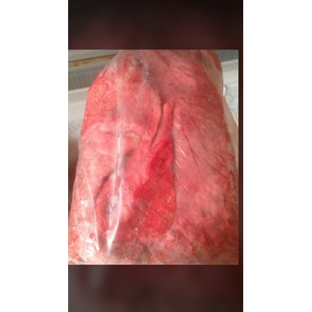 

daging paru sapi /lung 1 kg