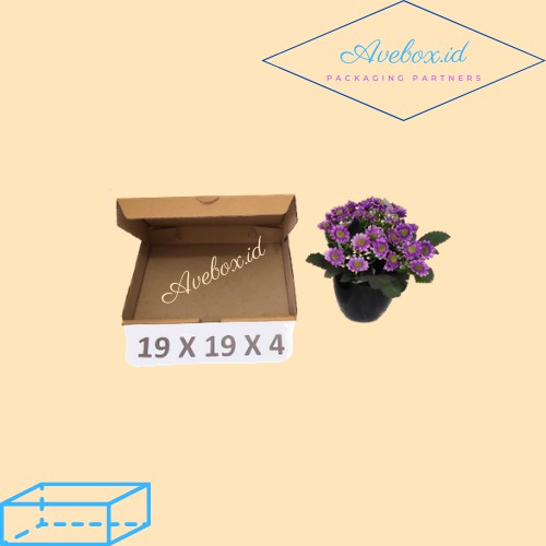 

[Minimum Order 10pcs] (19 x 19 x 4 CM) BOX KARDUS PACKING PIZZA / BAJU MURAH