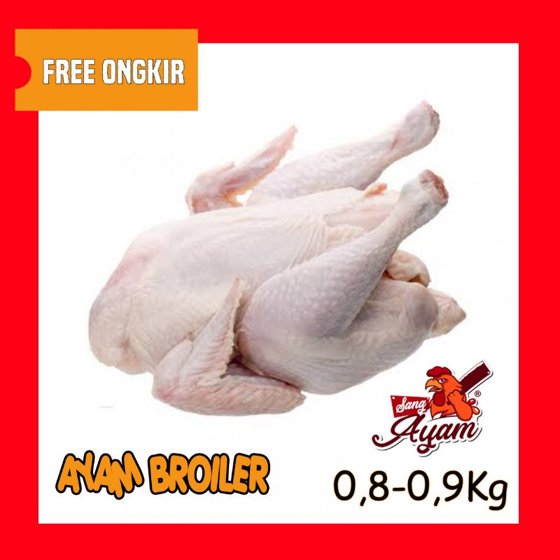 

Karkas Ayam Broiler Ayam Potong Utuh | 800-900 g