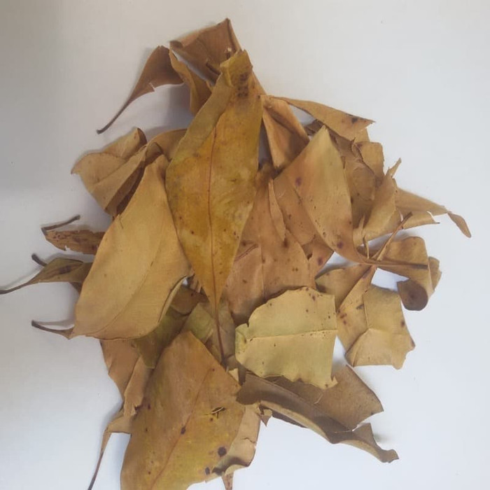 

PROMO daun cengkeh kering 1kg Premium