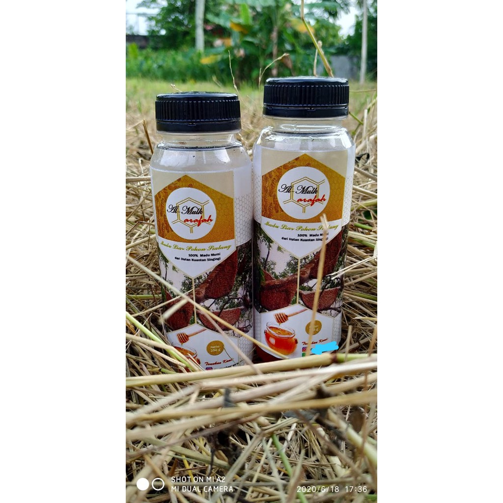 

MADU - MADU LIAR POHON SIALANG KEMASAN KOPI 250g