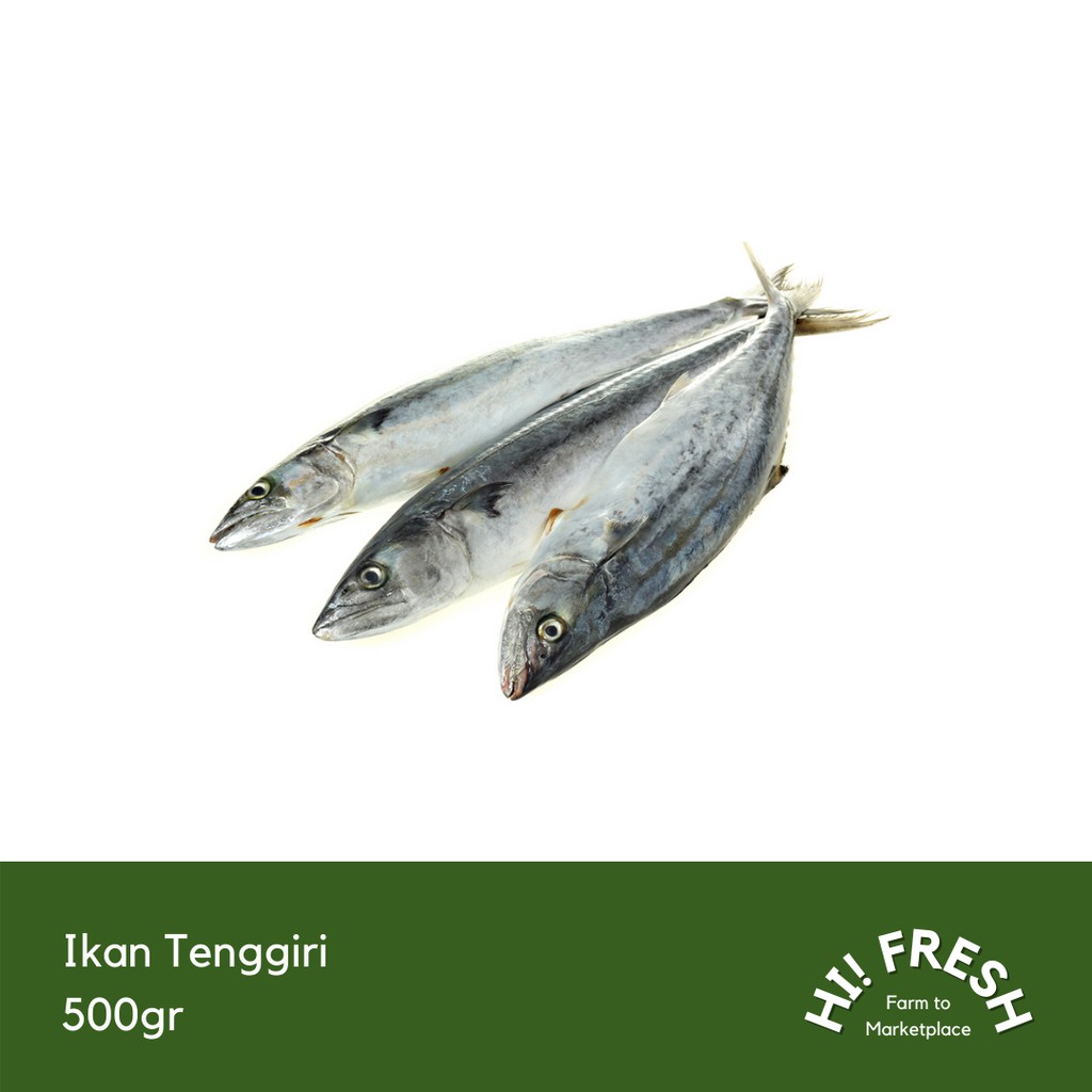 

Ikan Tenggiri 500gr