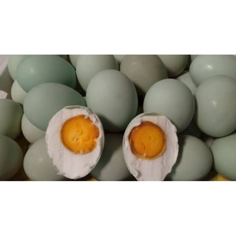 

HARGA PROMO" Telur Asin Super Kualitas Premium