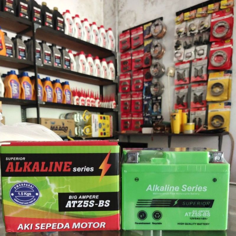 

Alkaline (ATZ5S-BS)
