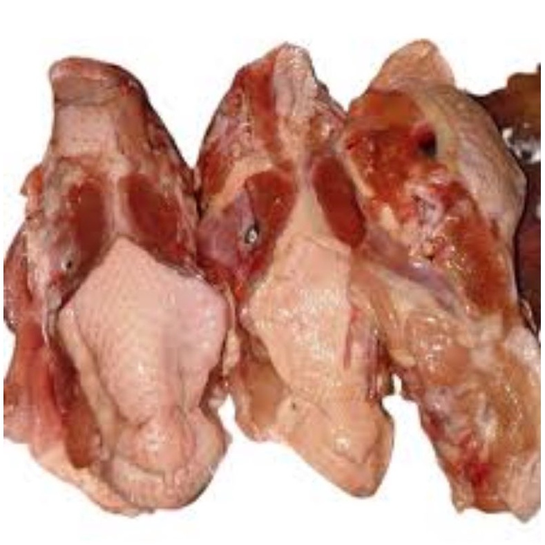 

Rongkongan Ayam segar dan Bergaransi