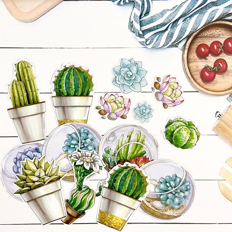 stickers set cactus plant stiker set isi banyak tanaman kaktus watercolour theme tempelan