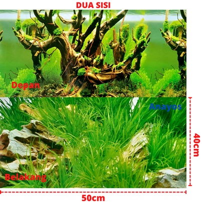 Wallpaper Background Aquarium Tinggi 40 Cm Panjang 50 Cm Motif 05