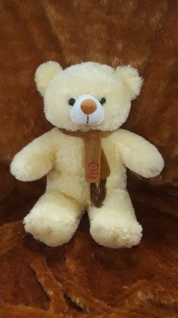 Tedy Bear w/Syall 25&quot;